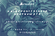 Brusher font, a Script Font by Vladimir Vihrev (Thumbnail 2 of 3)