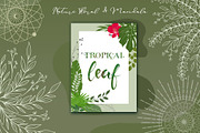 Nature Leaves Flower and Mandala, a Decorative Illustration by Papatongartist (Thumbnail 3 of 7)