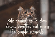 Chinstrap Stucky Bold Brush Font, a Script Font by stylishtype.co (Thumbnail 9 of 20)