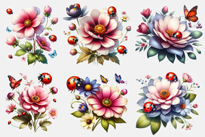 Watercolor Delightful Ladybug Png