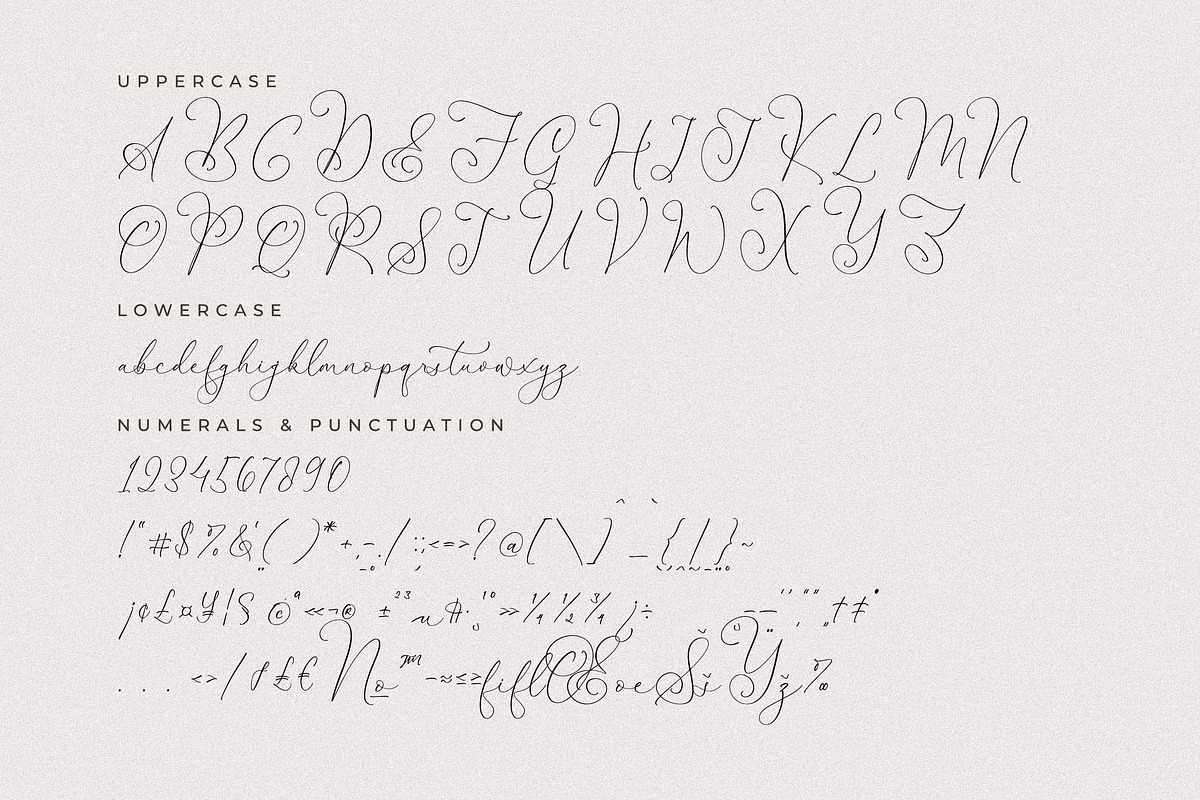 Senorytta Chic Calligraphy Font, a Script Font by Storytype Studio (Photo 13 of 15)