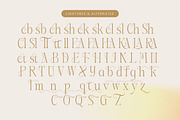Aska Modern Elegant Serif Font, a Serif Font by timelesstype.co (Thumbnail 19 of 20)