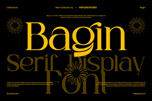 Bagin Font | Modern Editorial Serif