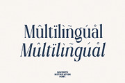 Favorite Notification, a Serif Font by Prioritype Co (Thumbnail 42 of 43)