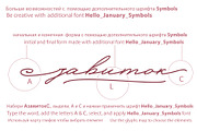 Hello January cursive font Cyrillic, a Script Font by IraDvilyuk (Thumbnail 19 of 20)