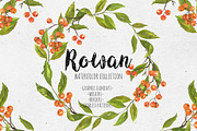 Rowan. Watercolor collection, a Decorative Illustration by Maria's little shop (Thumbnail 1 of 8)