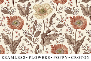 Seamless Set Flowers Poppy Poppies