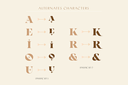 Giorgia: A Dreamy HighContrast Serif, a Serif Font by Genilson Santos (Thumbnail 14 of 15)
