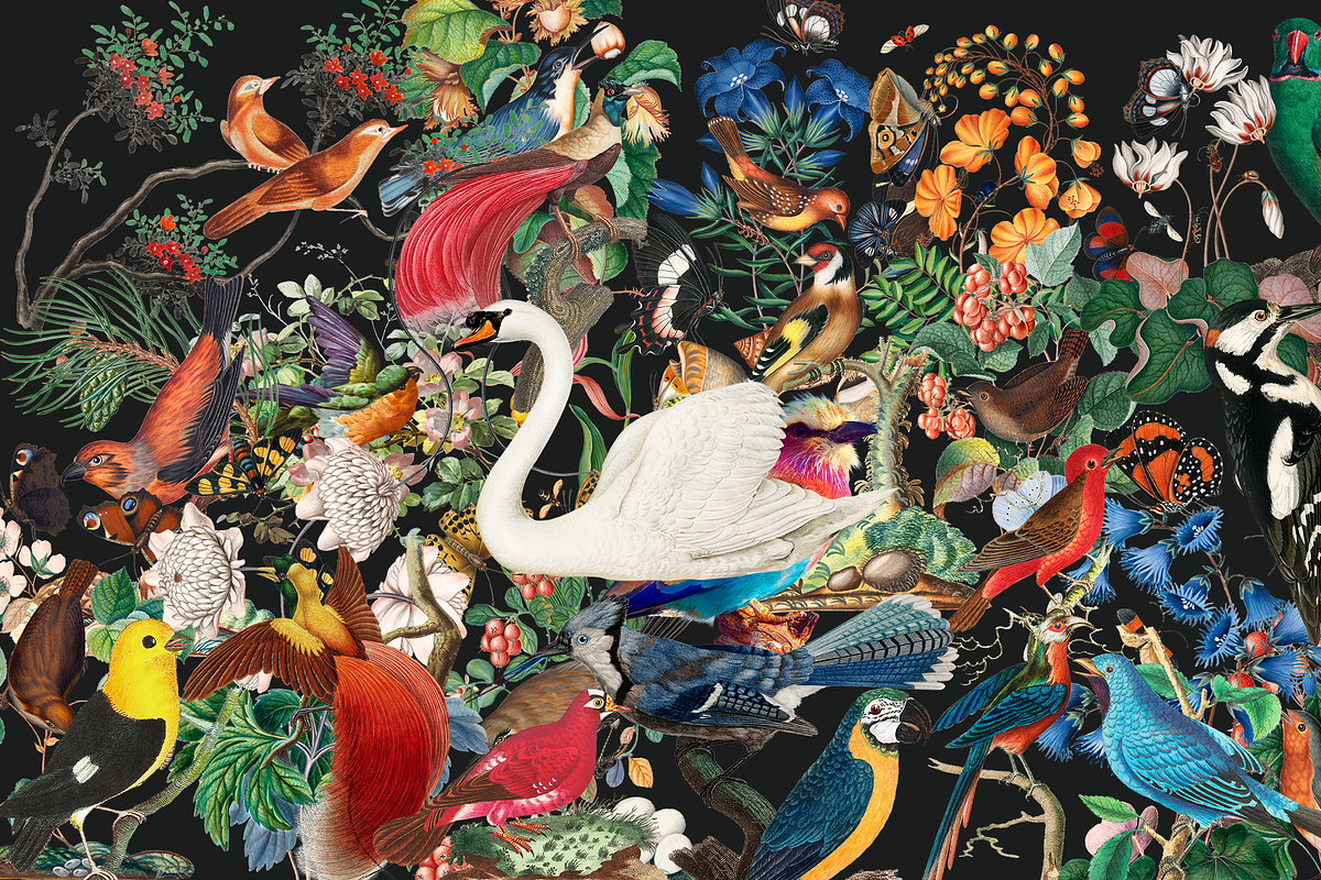 SALE! Collage Art Creator Pack 1400+, an Animal Illustration by Lilithcollageart (Photo 6 of 19)
