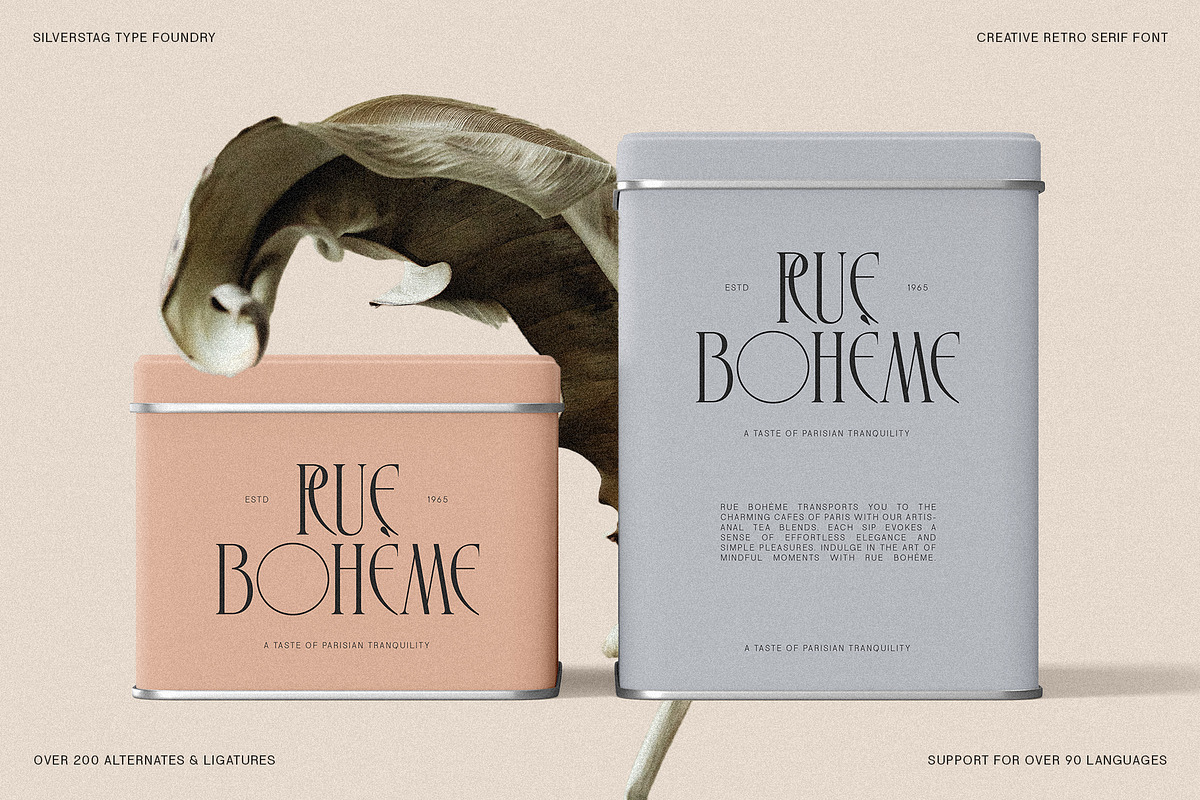 SLTF Rogue Rebellion - Ligature Font, a Serif Font by SilverStag Type Foundry (Photo 5 of 30)