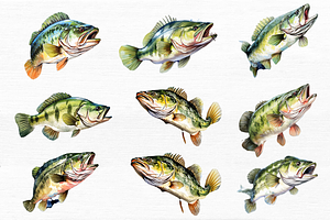 Bass Fishing Watercolor Art Clipart