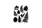 50 Botanical Garden Silhouette bundl, an Illustration by Designs_River (Thumbnail 29 of 51)
