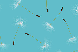 Dandelion. Vector Set.