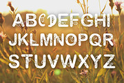 Floral Lover font, SVG cut flies, a Font by Tattoo Worker Studio (Thumbnail 3 of 4)