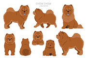 Chow chow (longhaired) clipart, an Animal Illustration by pet design shop (Thumbnail 8 of 9)