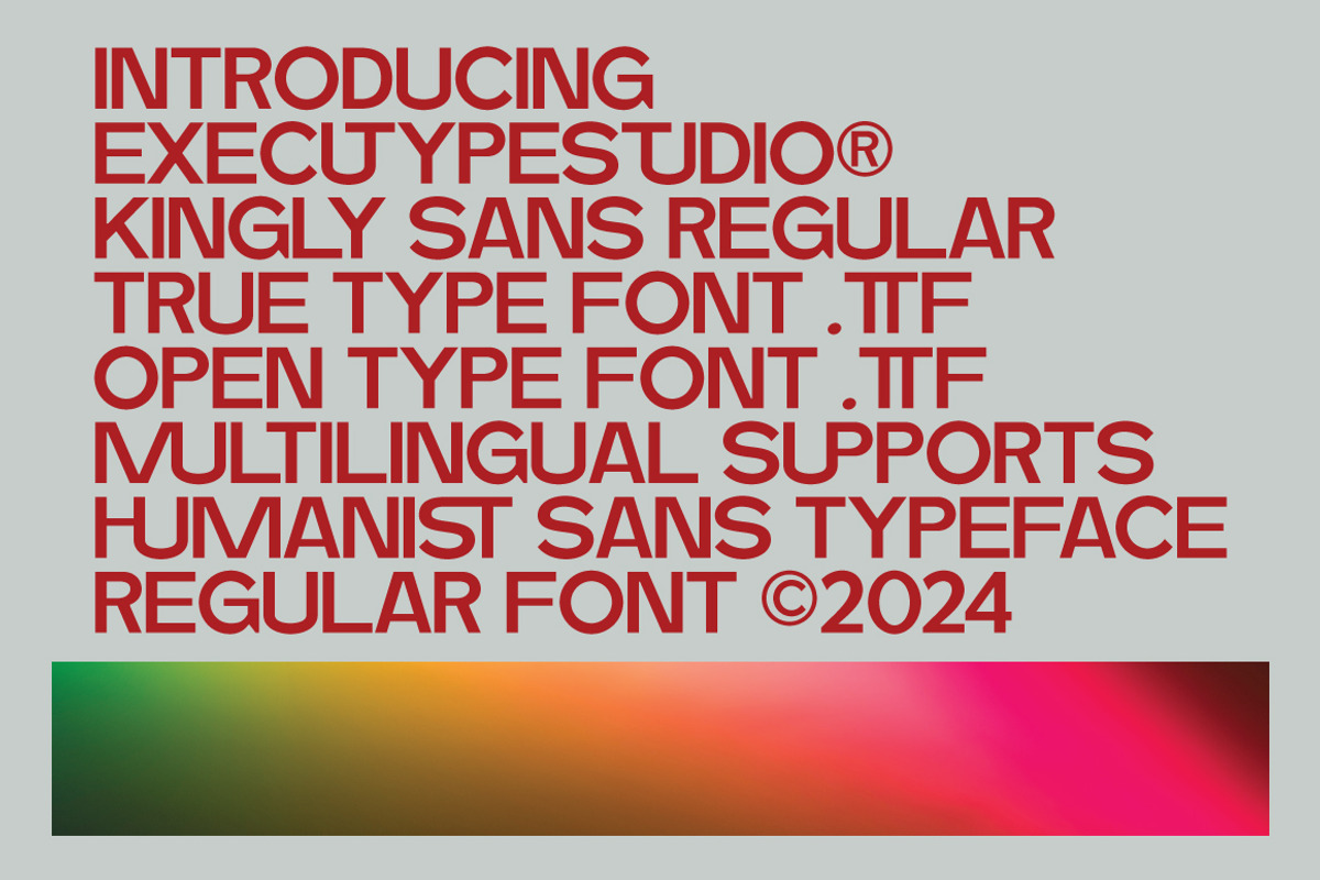 Kingly Sans, a Sans Serif Font by executypeStudio (Photo 8 of 14)