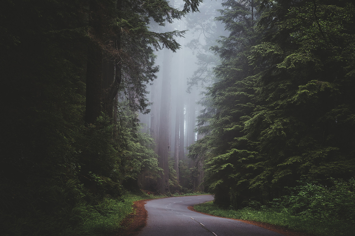 Moody Lightroom Presets - Soft Light, an Action Add-On by PhotoMarket (Photo 7 of 33)