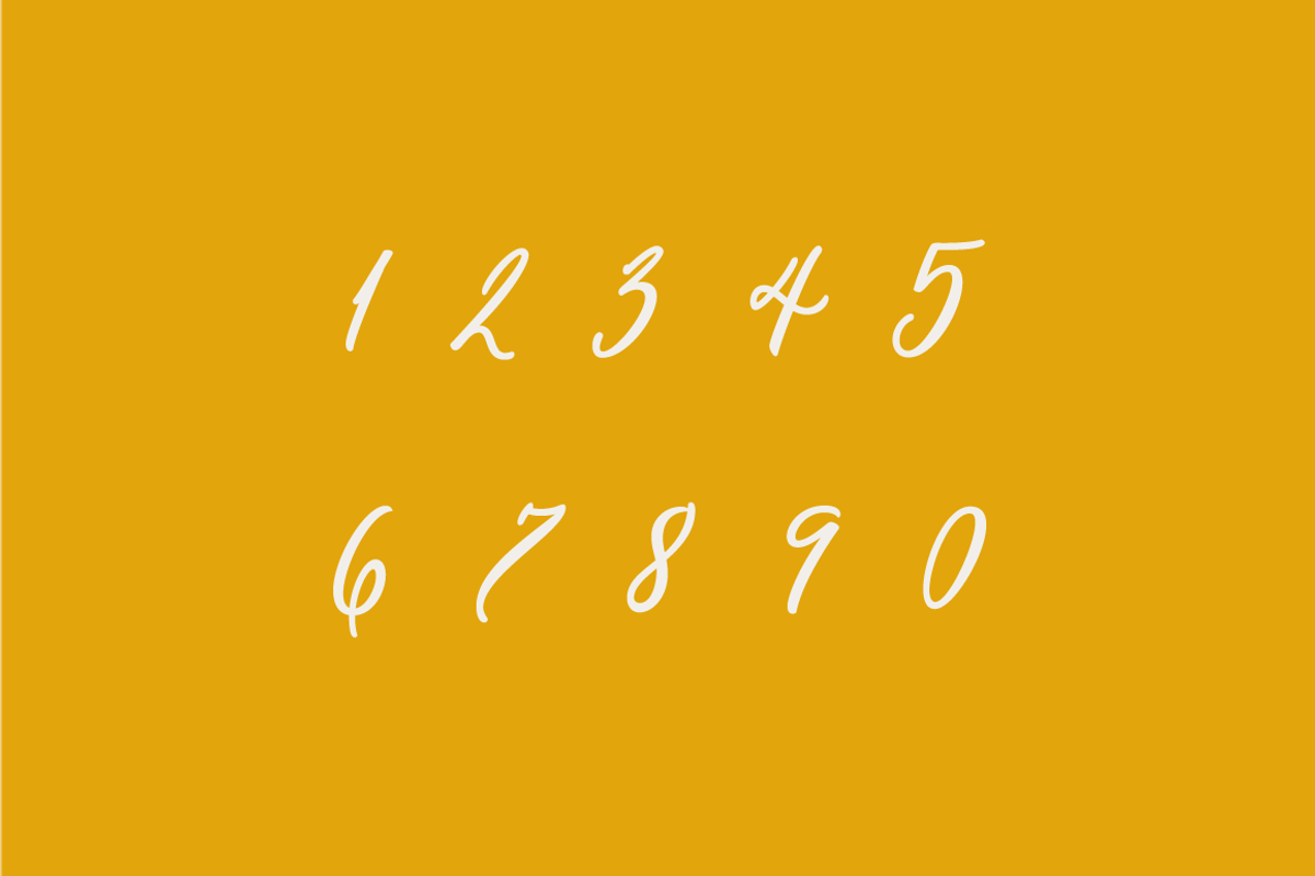 Pen Swan, a Script Font by Great Lakes Lettering (Photo 9 of 11)