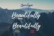 Pennello Script, a Script Font by QueenType (Thumbnail 4 of 10)