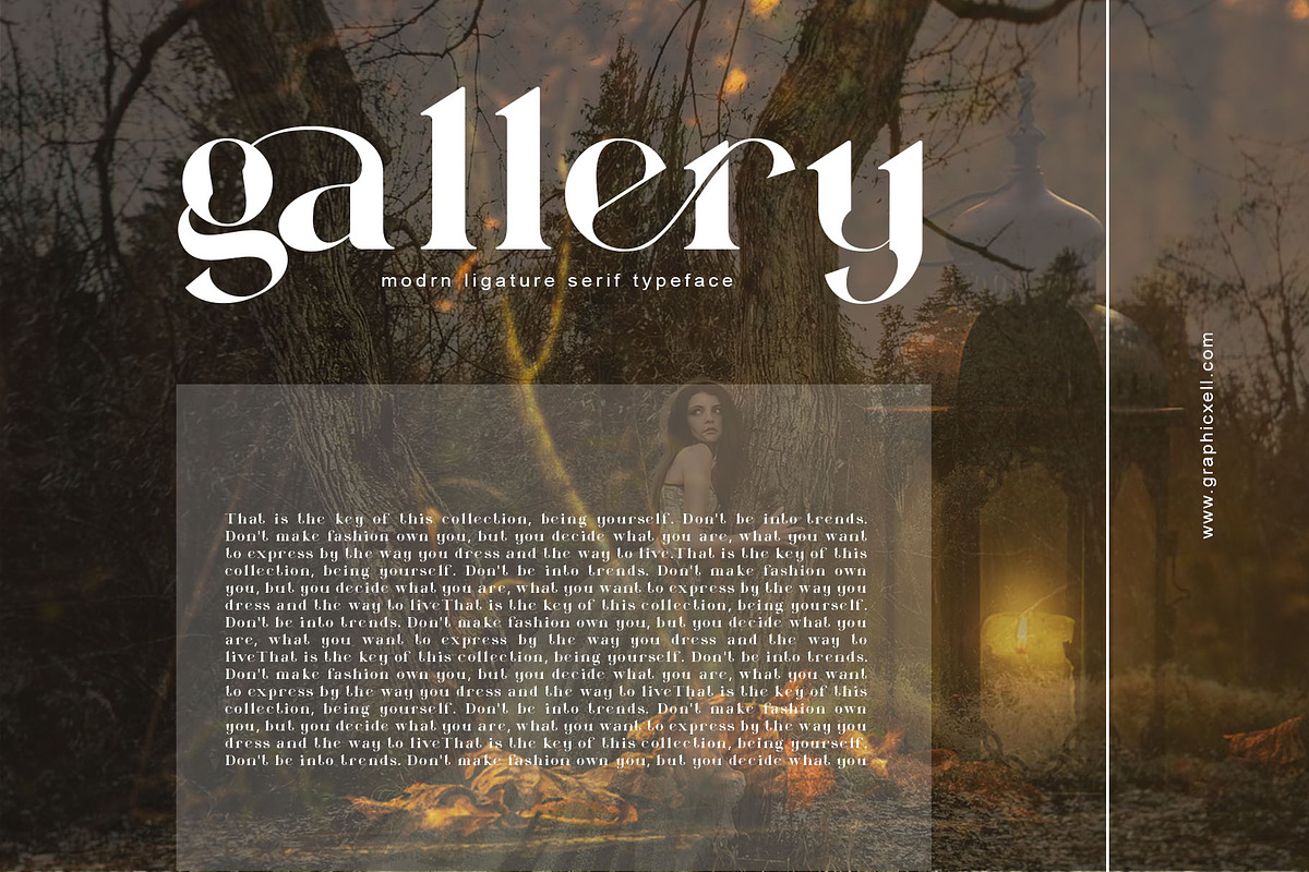 Famous Ligature Typeface, a Serif Font by Graphicxell (Photo 5 of 15)