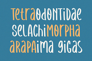 Amazing Dolphine Font