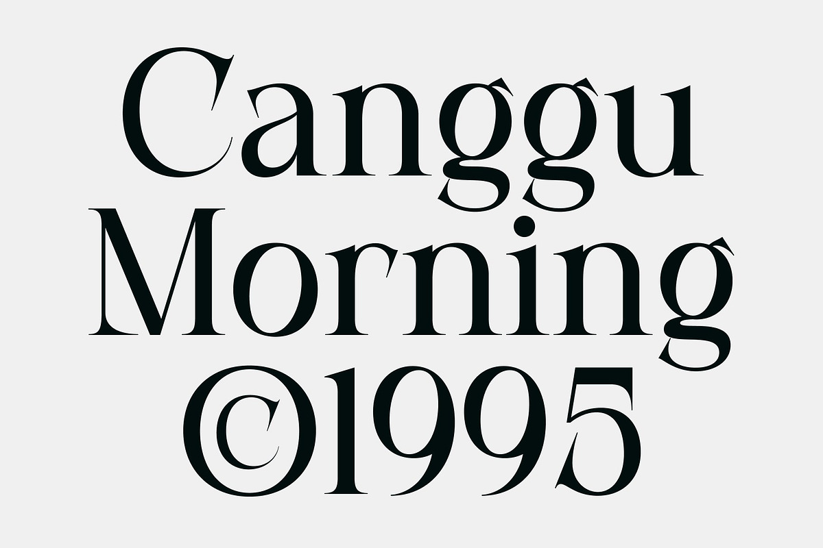 CS Bevoir – Modern Serif Font, a Serif Font by Craft Supply Co. (Photo 5 of 8)