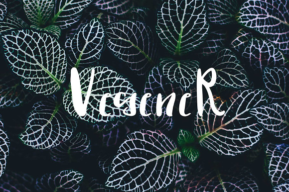 vegener font preview 6