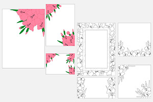 Set Gladiolus Flowers Vector