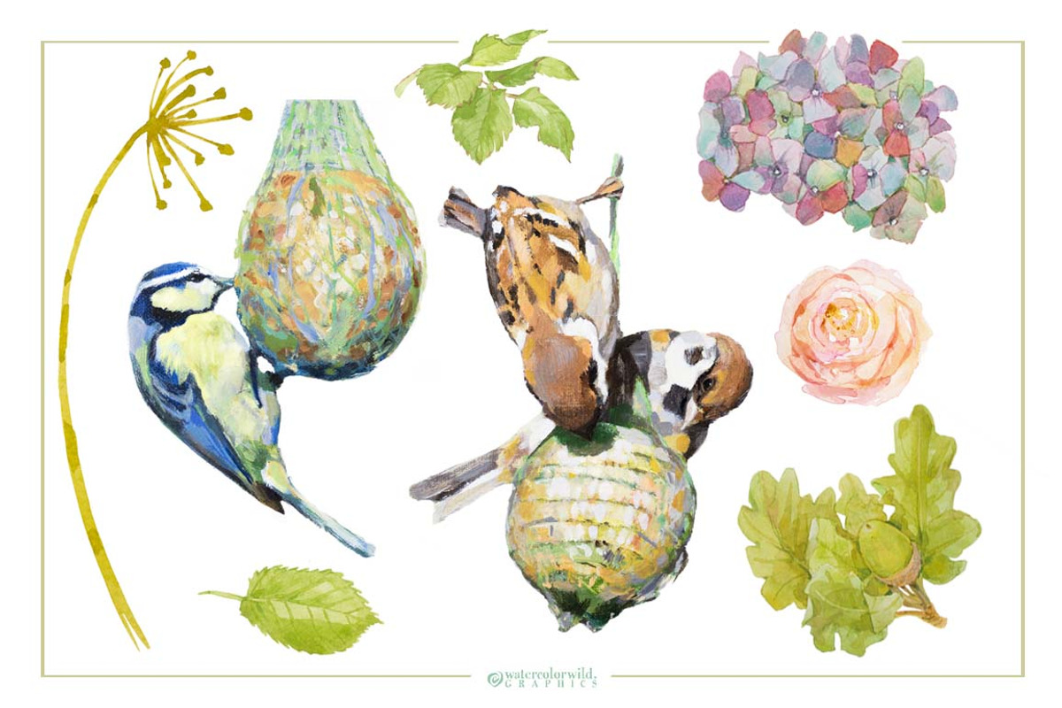 BIRDS FEEDING - Clipart set, an Illustration by watercolorwild.graphics (Photo 3 of 5)