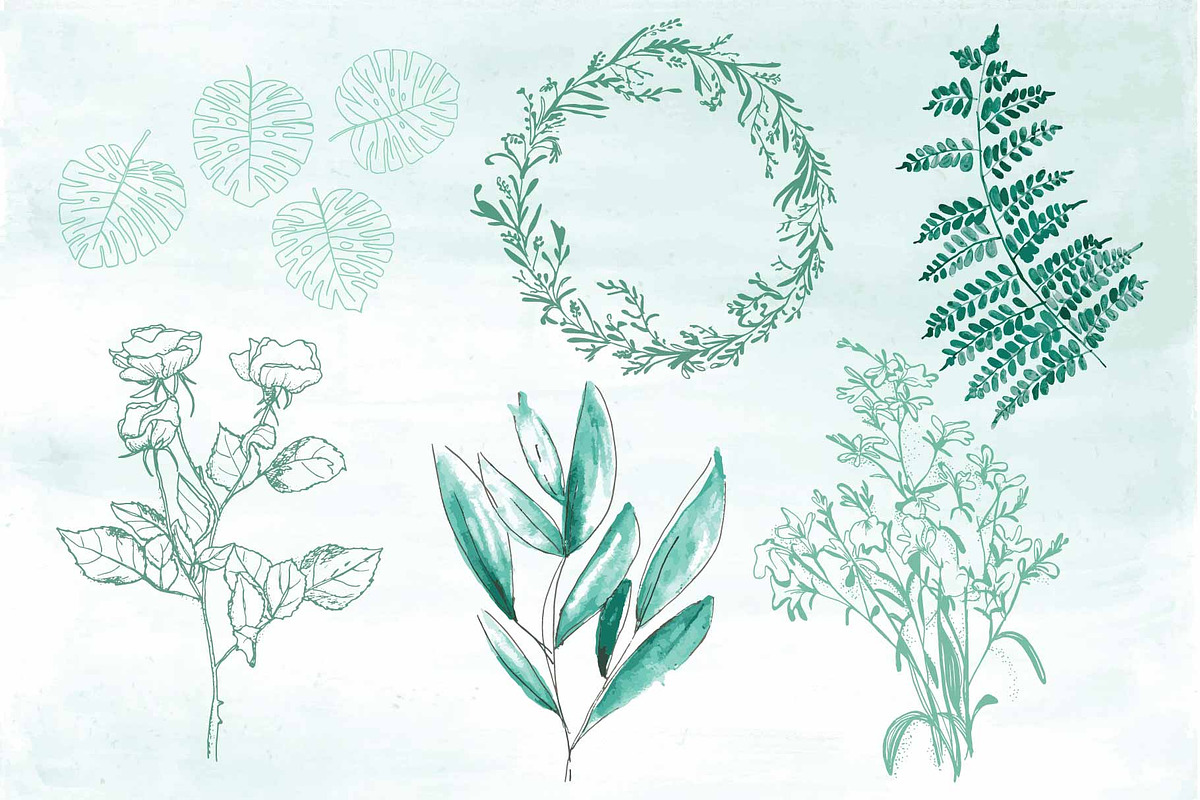 Forest Greenery Collection, an Illustration by Arie Clares (Photo 5 of 6)