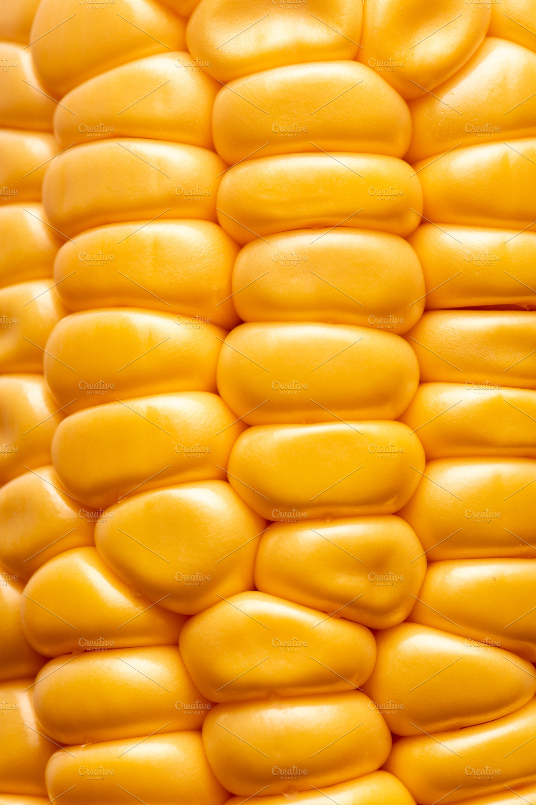 Close-up of glossy yellow corn kernels in neat rows, highlightin, a Nature Photo by Ales Munt