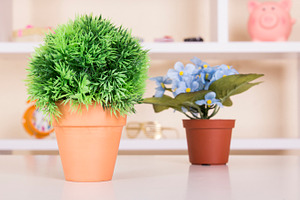 Flower pot on table stock photo containing view and plastic