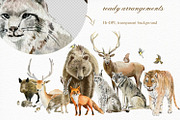 Forest watercolor designer toolkit, an Animal Illustration by Elegantia (Thumbnail 17 of 28)