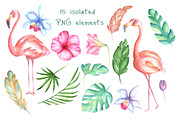 Pink flamingo set, an Illustration by artdreamer (Thumbnail 4 of 6)