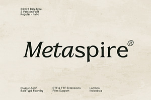 Metaspire - Modern Display Serif