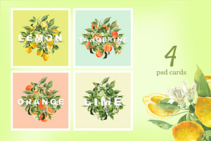 Citrus Watercolor Collection