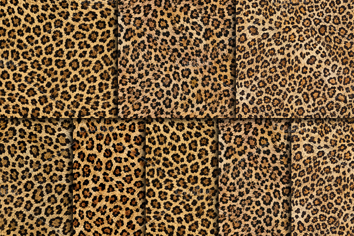 Realistic Jaguar Print Fur Texture, a Pattern Graphic by Artonix (Photo 3 of 3)