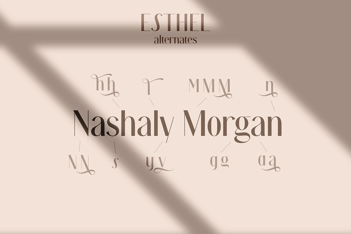 Esthel, a Sans Serif Font by Larin Type Co. (Photo 8 of 11)