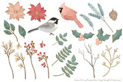 Soft Christmas Leaves and Branches, an Illustration by Amanda Ilkov (Thumbnail 4 of 5)