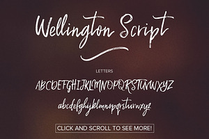 Wellington Script Font