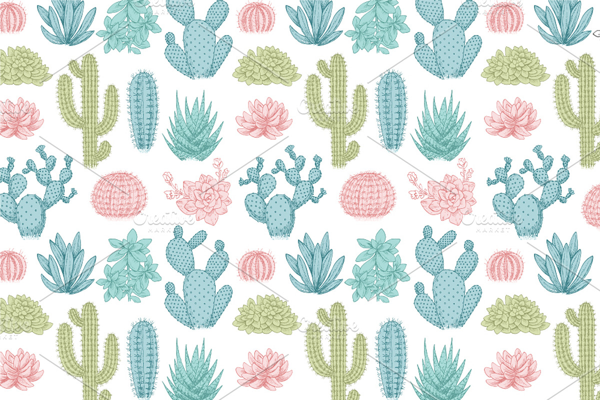 Cactus illustrations, an Illustration by adehoidar (Photo 3 of 6)