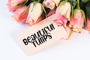 Simple Alphabet | Script Font, a Script Font by Scratchones (Thumbnail 5 of 8)