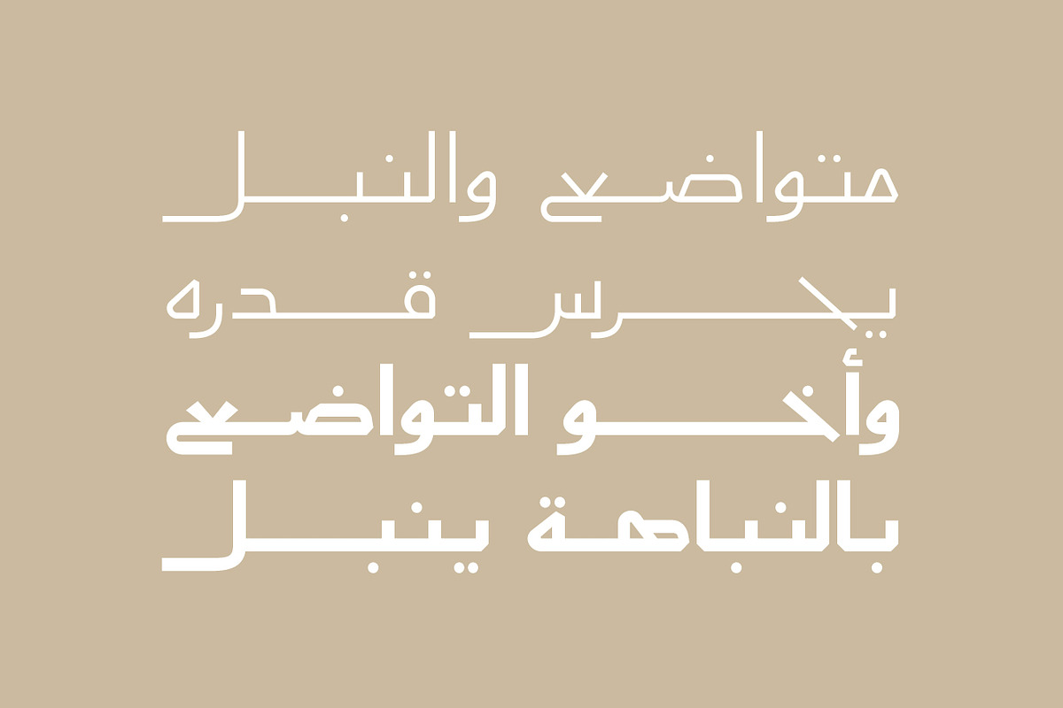 Aaber - Arabic Typeface, a Sans Serif Font by Mostafa El Abasiry (Photo 11 of 17)