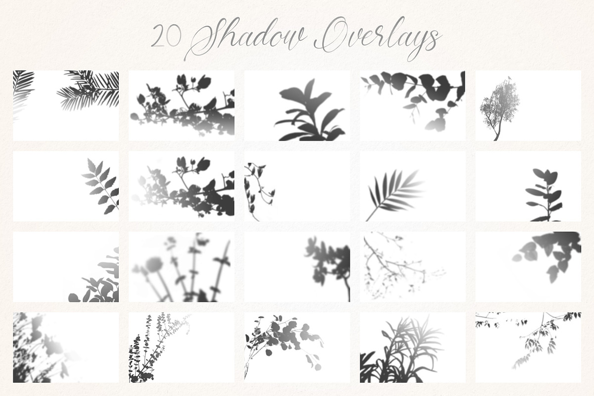 Santa Fiora SVG Font Duo, a Script Font by Ivan Rosenberg (Photo 11 of 15)
