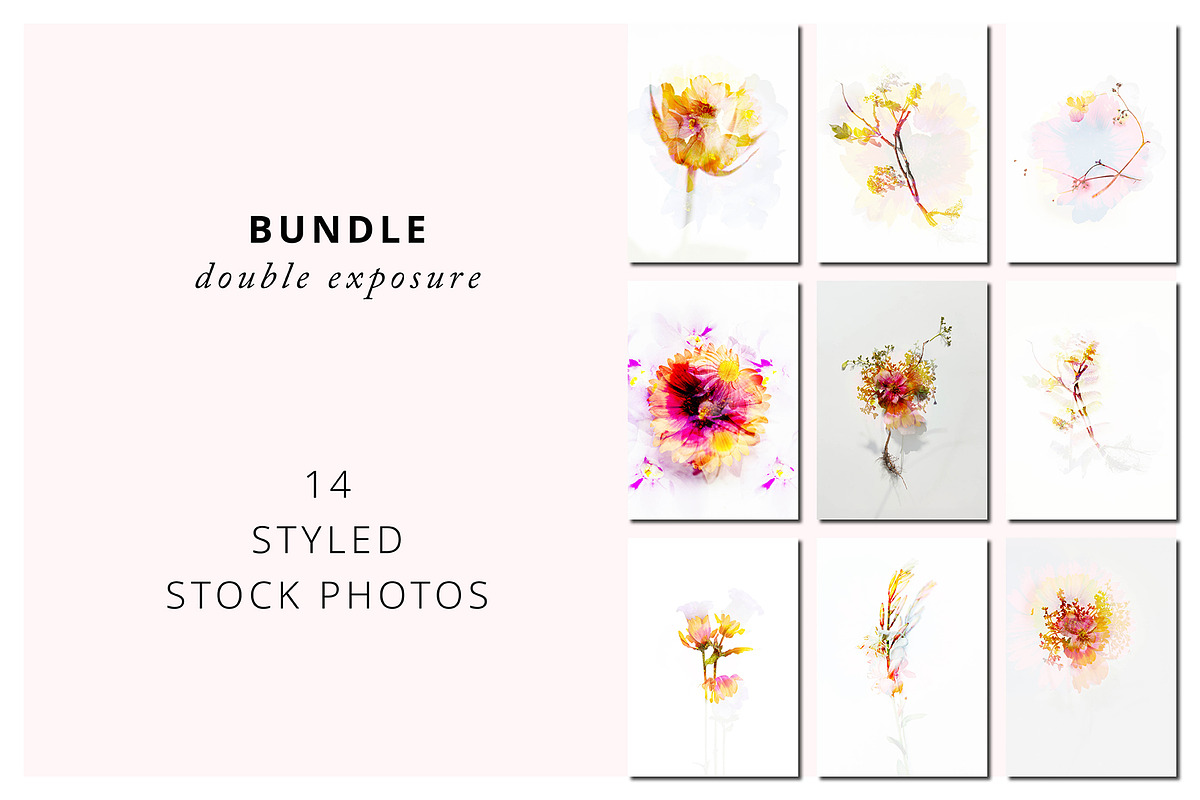 Double exposure stock photo bundle, a Nature Photo by Bloomstock studio (Photo 1 of 4)