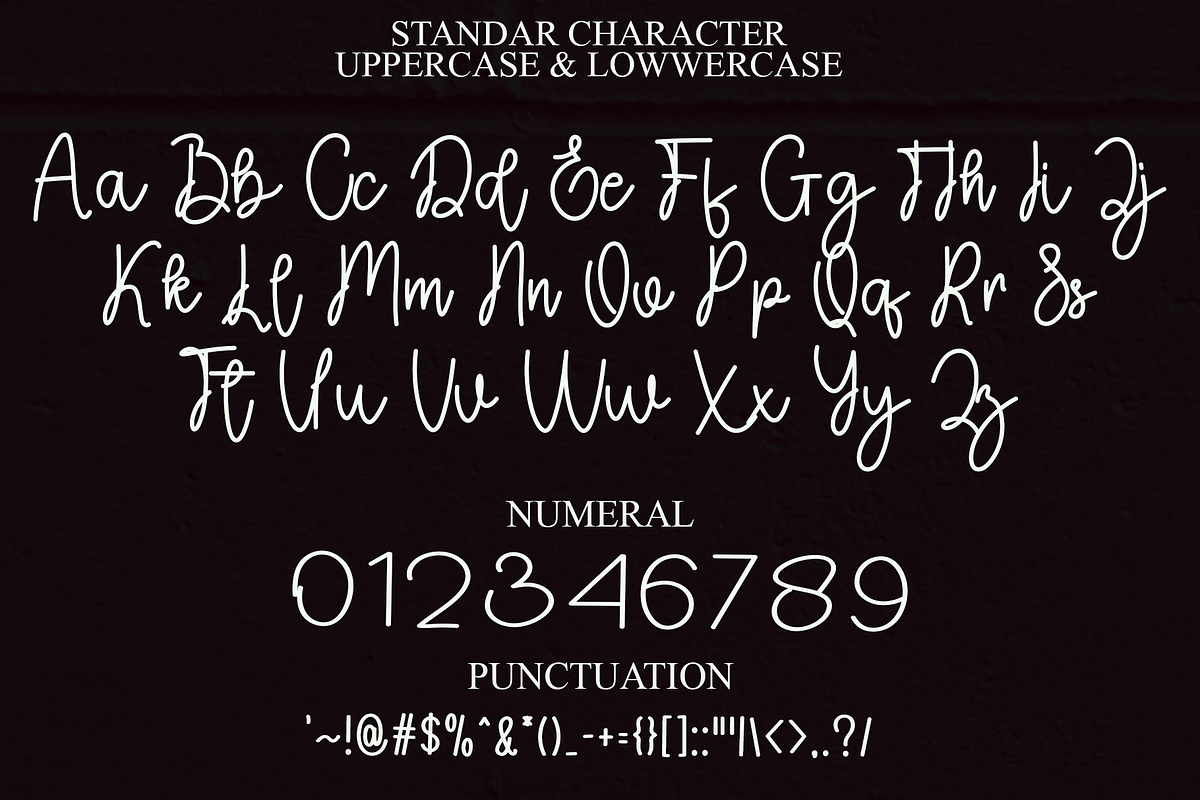 Delightful, a Handwritten Font by InermediaSTUDIO (Photo 4 of 7)