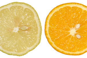 Two citrus fruit slices, a lemon and an orange, isolated backgro, a Food & Drink Photo by ndanko