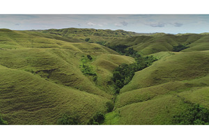 Lush green hills rolling across, a Nature Photo by Goinyk
