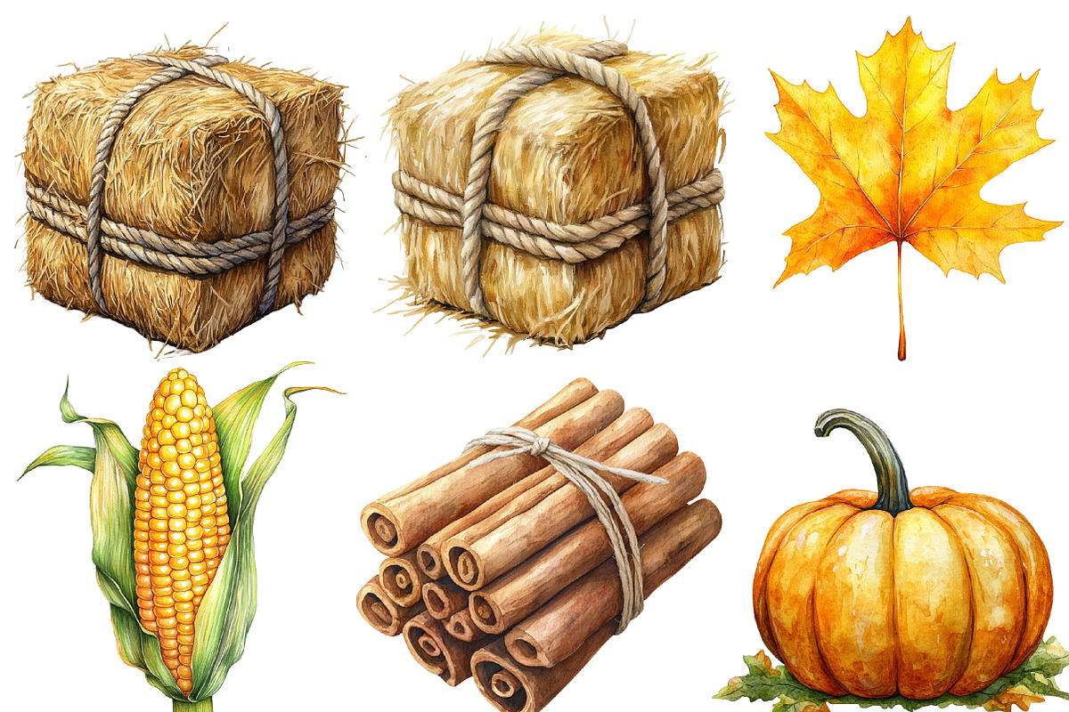 Watercolor Autumn  Harvest, an Illustration by Designworld (Photo 2 of 6)