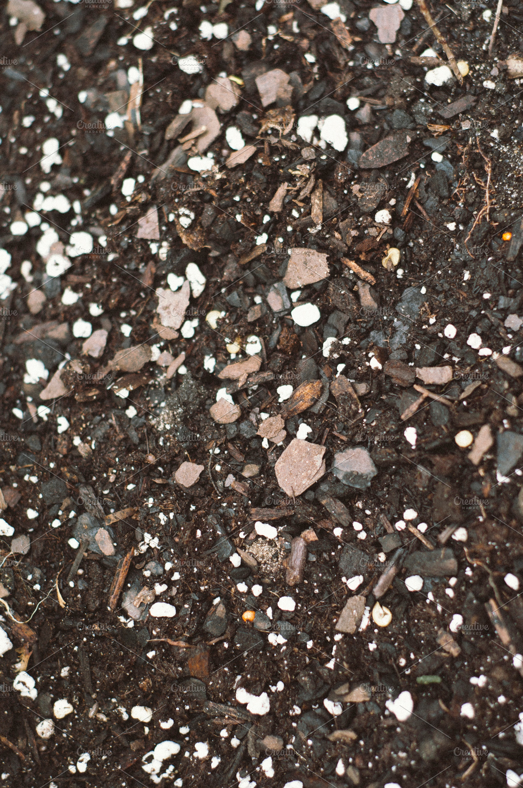 Garden Soil